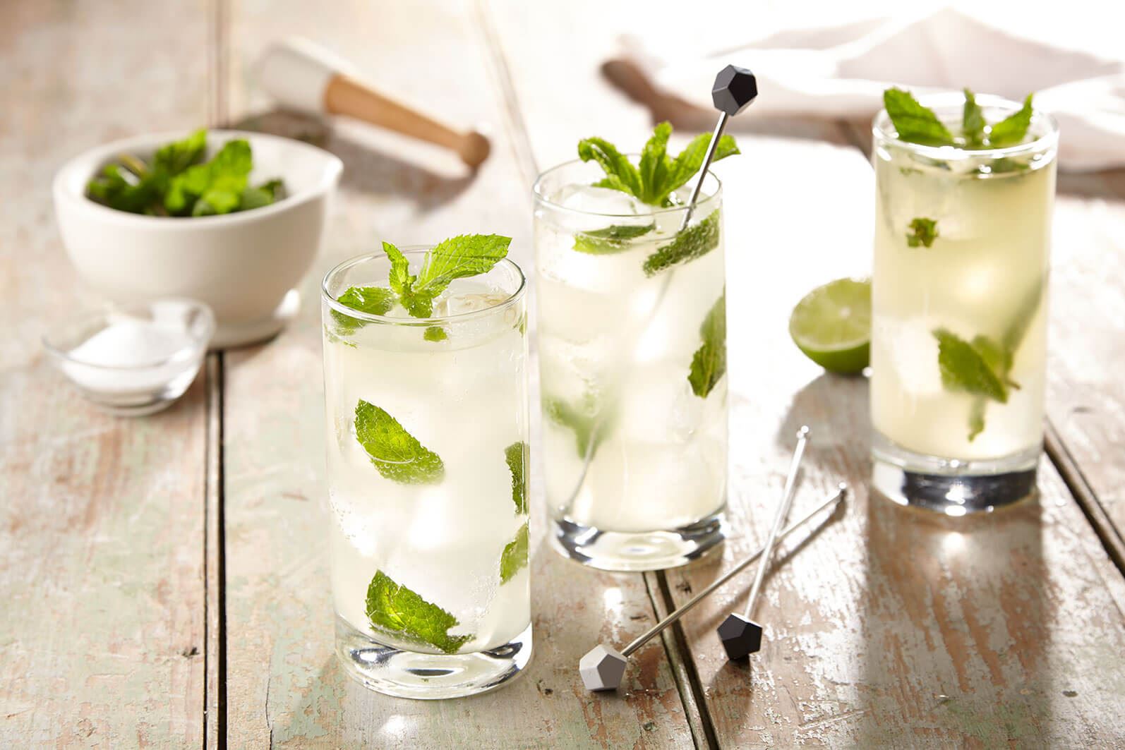 The Original Goya Mojito