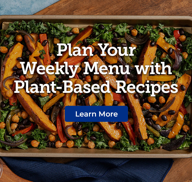 Plant Based Recipes - Mobile