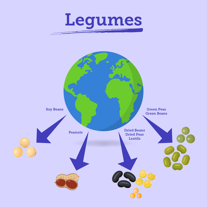 Legumes